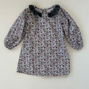 Forever Young by Sue Dang Little Girls Floral Velvet Long Sleeve Dress Size 5T